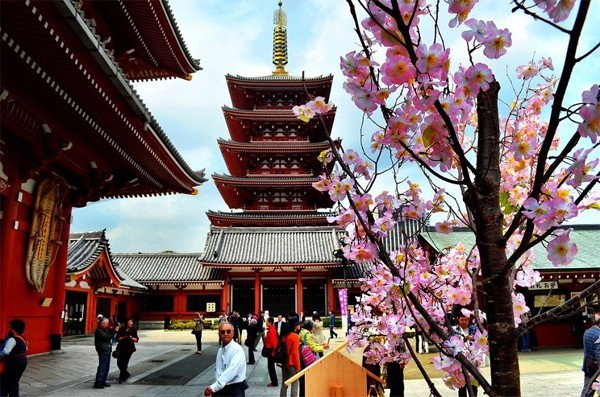 Khám phá chùa cổ Asakusa Kannon ở Nhật Bản nổi tiếng thế giới