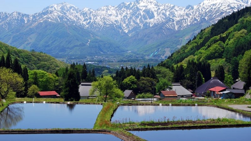 Nhật Bản – 16 trải nghiệm du khách nên tận hưởng khi đến đất nước mặt trời mọc
