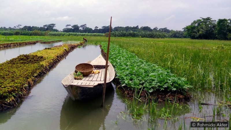 Những khu vườn trên sông nước ở Bangladesh