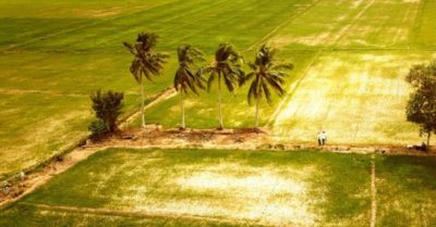 Sông Mê Kông cạn dòng, Đồng bằng Sông Cửu Long chưa có mùa nước nổi