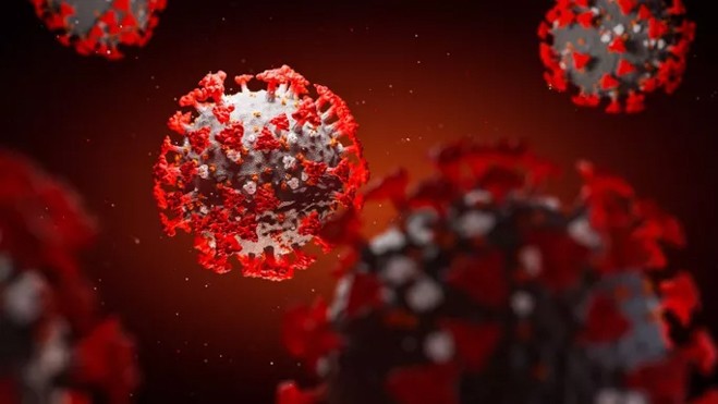 Scientists discover antibody that ‘neutralizes’ virus that causes coronavirus