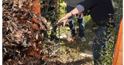 10 người nổi tiếng làm vườn trồng rau tại nhà