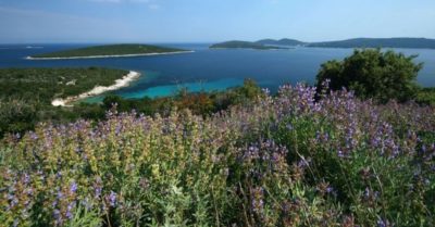 Hòn đảo chăm sóc sức khỏe: Thiên đường cho người bị bệnh về hô hấp