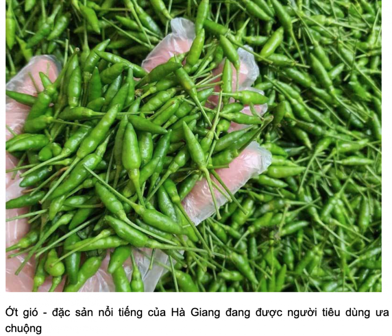 Gần 1 triệu đồng 1kg ớt gió Hà Giang vẫn hút khách