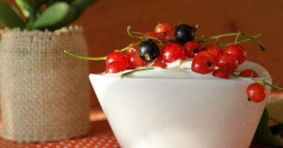 Máy xay cầm tay giúp sữa chua sánh dẻo và thơm ngậy