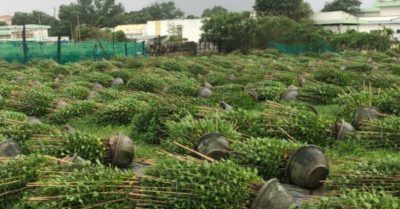 Tin tức tối 18/12: Gió mùa Đông Bắc như bão, người té ngã, hoa tả tơi; Cậu bé bị bắt cóc ở Mỹ ‘được tìm thấy tại Việt Nam’