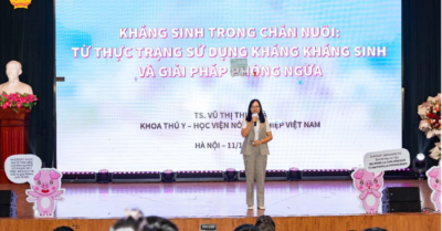 Giảm kháng sinh, nâng cao năng suất chăn nuôi heo